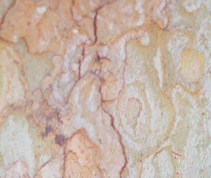 pexels-rethaferguson-3059489 (1)