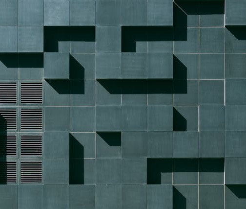 pexels-vlado-paunovic-1567547-3038740 (1)